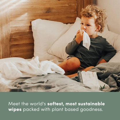 12 Packs of Wipes 2024 | 20% off