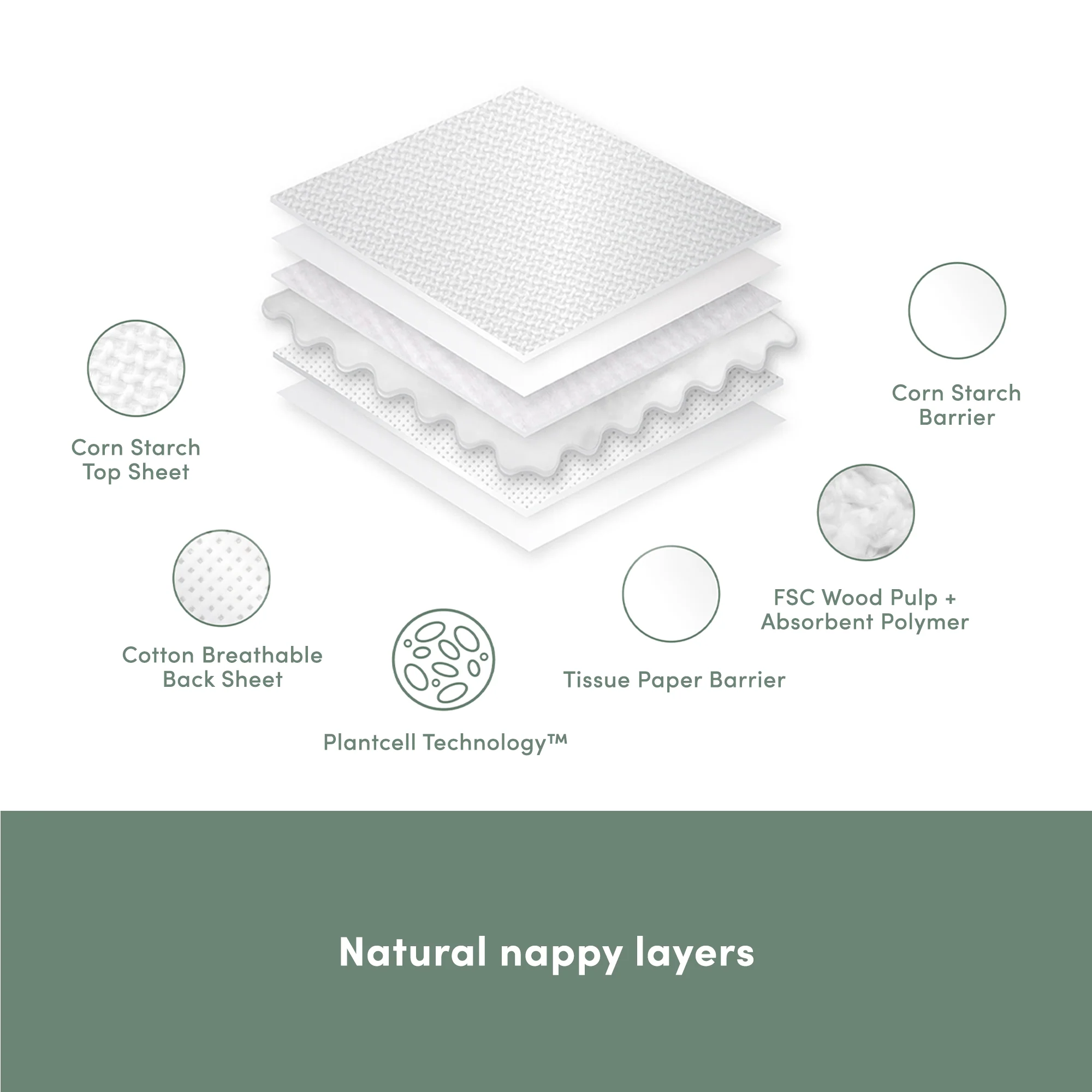 6 Packs of Nappies 2024 | 20% off