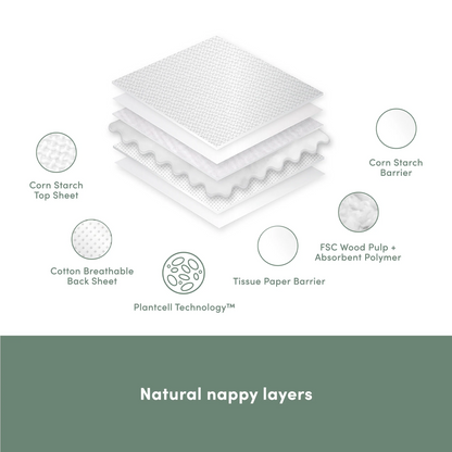 6 Packs of Nappies 2024 | 20% off